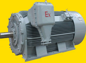 YB2-YB3-高压防爆电机.gif