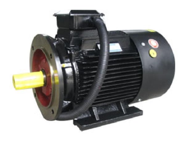 贝能LMYS系列电机