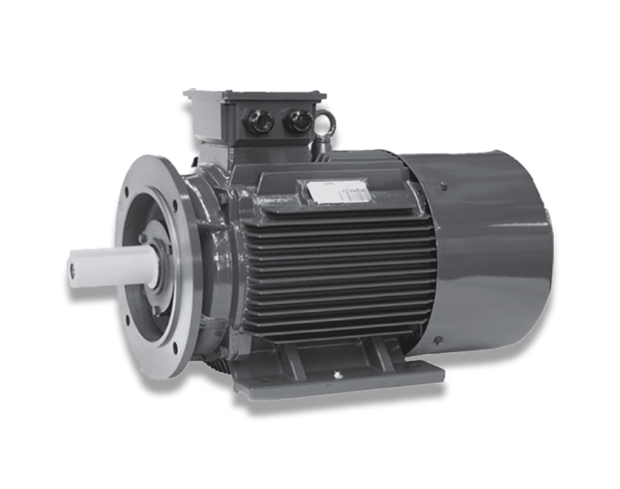 南阳防爆电机,南阳防爆,卧龙电气,防爆电机,南阳电机配件